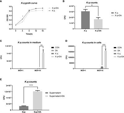 Dopamine promotes Klebsiella quasivariicola proliferation and inflammatory response in the presence of macrophages